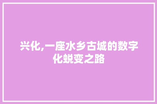 兴化,一座水乡古城的数字化蜕变之路