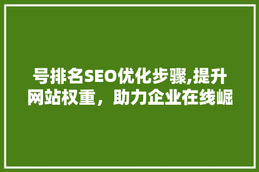 号排名SEO优化步骤,提升网站权重，助力企业在线崛起 GoogleSEO