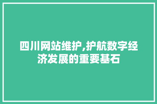 四川网站维护,护航数字经济发展的重要基石 百度SEO