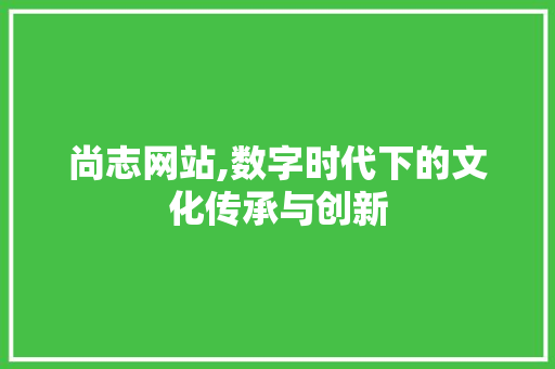 尚志网站,数字时代下的文化传承与创新 GoogleSEO