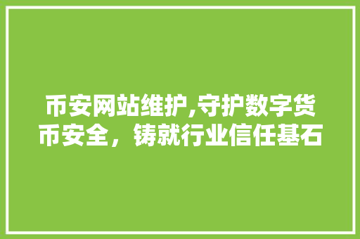 币安网站维护,守护数字货币安全，铸就行业信任基石 必应SEO