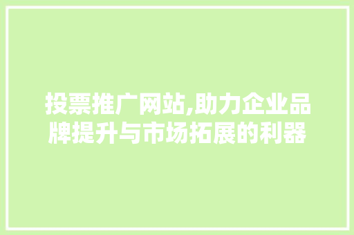 投票推广网站,助力企业品牌提升与市场拓展的利器 GoogleSEO