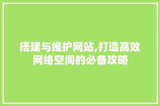 搭建与维护网站,打造高效网络空间的必备攻略 百度SEO