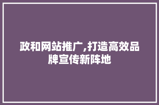 政和网站推广,打造高效品牌宣传新阵地 GoogleSEO