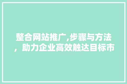 整合网站推广,步骤与方法，助力企业高效触达目标市场 百度SEO