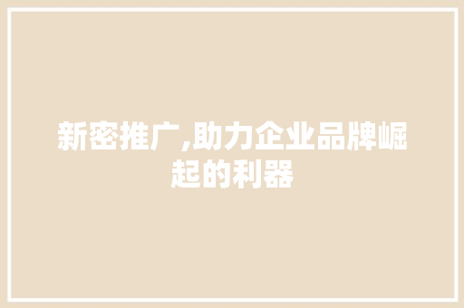 新密推广,助力企业品牌崛起的利器 百度SEO