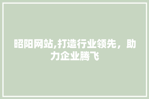 昭阳网站,打造行业领先，助力企业腾飞 GoogleSEO