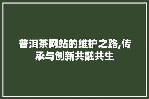 普洱茶网站的维护之路,传承与创新共融共生 百度SEO