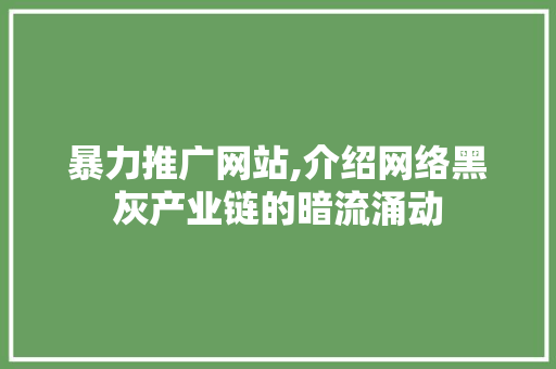 暴力推广网站,介绍网络黑灰产业链的暗流涌动 GoogleSEO