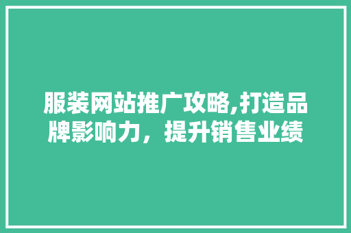 服装网站推广攻略,打造品牌影响力，提升销售业绩 神马SEO