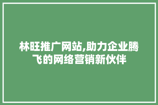林旺推广网站,助力企业腾飞的网络营销新伙伴 搜狗SEO