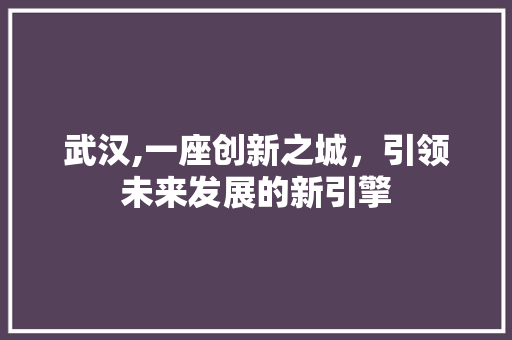 武汉,一座创新之城，引领未来发展的新引擎