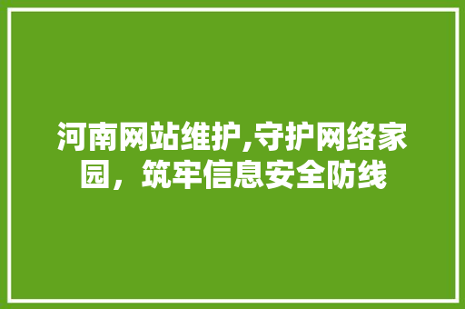 河南网站维护,守护网络家园，筑牢信息安全防线 必应SEO