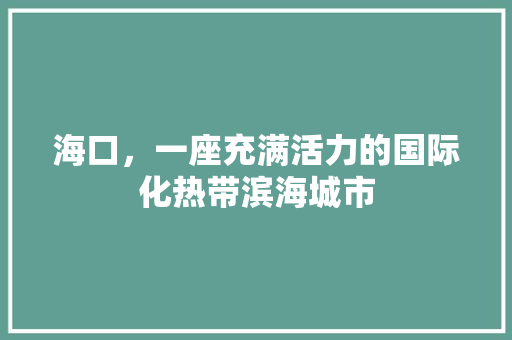 海口，一座充满活力的国际化热带滨海城市 神马SEO