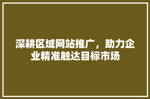 深耕区域网站推广，助力企业精准触达目标市场 百度SEO