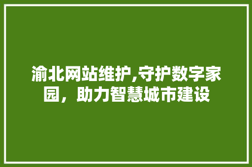 渝北网站维护,守护数字家园，助力智慧城市建设 神马SEO