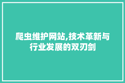 爬虫维护网站,技术革新与行业发展的双刃剑 百度SEO