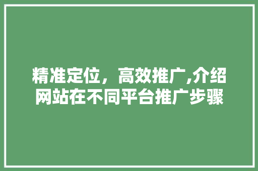 精准定位，高效推广,介绍网站在不同平台推广步骤 必应SEO