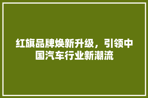 红旗品牌焕新升级，引领中国汽车行业新潮流 神马SEO