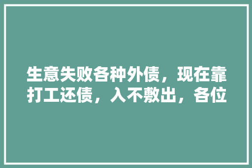 生意失败各种外债，现在靠打工还债，入不敷出，各位负债上岸的有何高招「项目为什么做 怎么做都做不好」 生意失败各种外债，现在靠打工还债，入不敷出，各位负债上岸的有何高招「项目为什么做 怎么做都做不好」 GoogleSEO