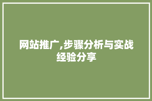 网站推广,步骤分析与实战经验分享 神马SEO