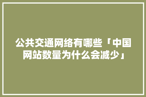 公共交通网络有哪些「中国网站数量为什么会减少」