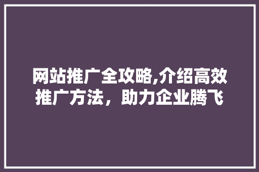 网站推广全攻略,介绍高效推广方法，助力企业腾飞 百度SEO