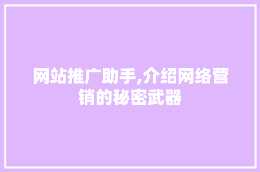 网站推广助手,介绍网络营销的秘密武器 GoogleSEO