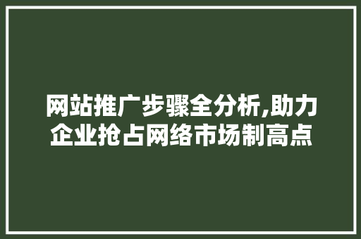 网站推广步骤全分析,助力企业抢占网络市场制高点 百度SEO