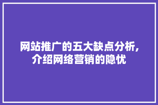网站推广的五大缺点分析,介绍网络营销的隐忧 必应SEO