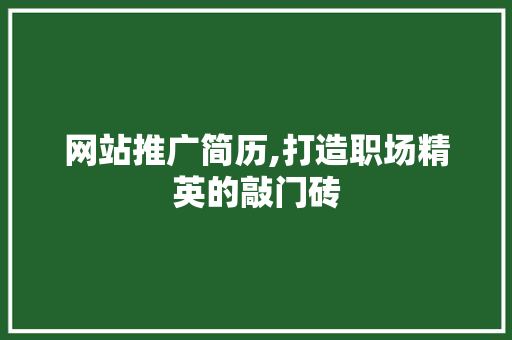 网站推广简历,打造职场精英的敲门砖 百度SEO