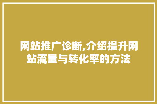 网站推广诊断,介绍提升网站流量与转化率的方法 GoogleSEO