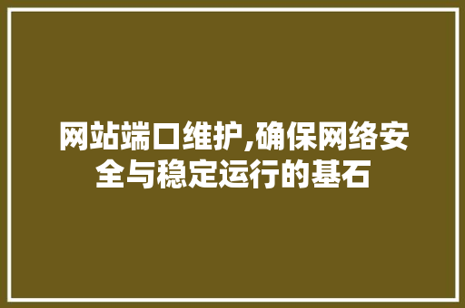 网站端口维护,确保网络安全与稳定运行的基石 必应SEO