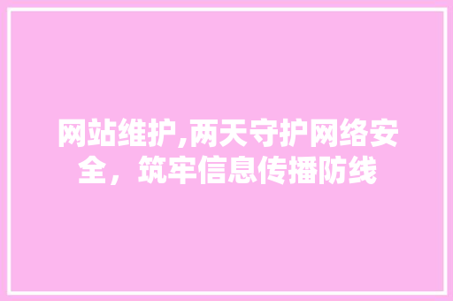 网站维护,两天守护网络安全，筑牢信息传播防线 GoogleSEO