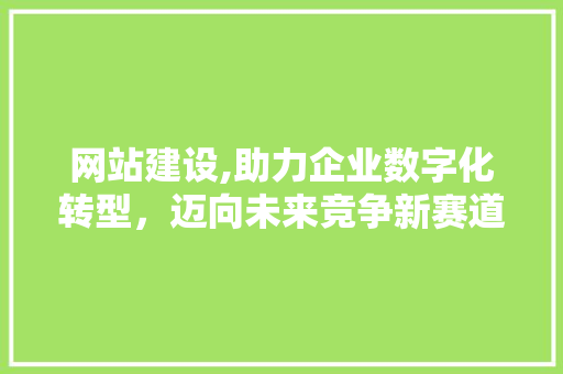 网站建设,助力企业数字化转型，迈向未来竞争新赛道 神马SEO