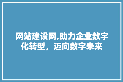 网站建设网,助力企业数字化转型，迈向数字未来 神马SEO