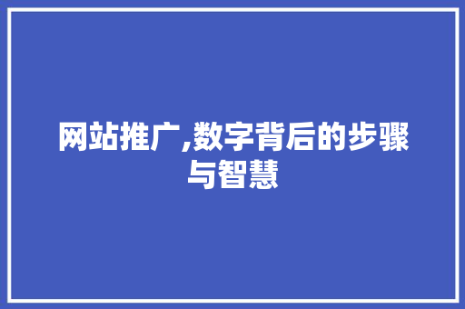 网站推广,数字背后的步骤与智慧 百度SEO 网站推广,数字背后的步骤与智慧 百度SEO