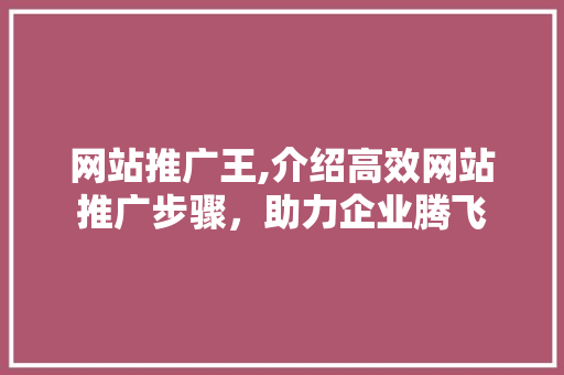 网站推广王,介绍高效网站推广步骤,助力企业腾飞 百度SEO 网站推广王,介绍高效网站推广步骤,助力企业腾飞 百度SEO