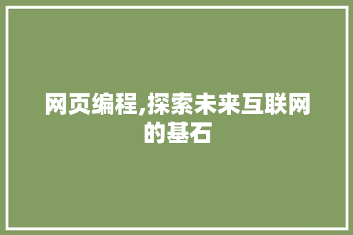 网页编程,探索未来互联网的基石 百度SEO