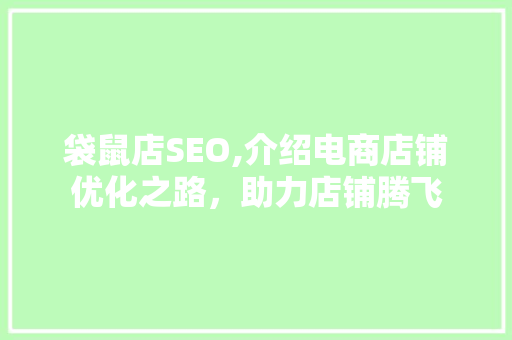 袋鼠店SEO,介绍电商店铺优化之路，助力店铺腾飞