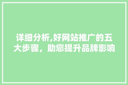 详细分析,好网站推广的五大步骤，助您提升品牌影响力 神马SEO