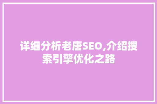 详细分析老唐SEO,介绍搜索引擎优化之路