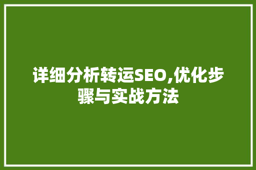 详细分析转运SEO,优化步骤与实战方法 百度SEO