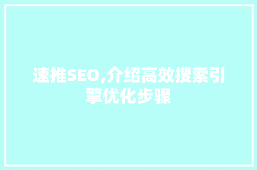 速推SEO,介绍高效搜索引擎优化步骤