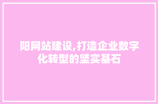 阳网站建设,打造企业数字化转型的坚实基石 百度SEO