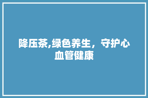 降压茶,绿色养生，守护心血管健康 GoogleSEO