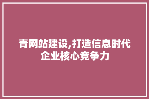 青网站建设,打造信息时代企业核心竞争力 百度SEO