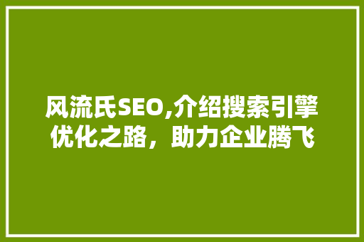 风流氏SEO,介绍搜索引擎优化之路，助力企业腾飞 百度SEO