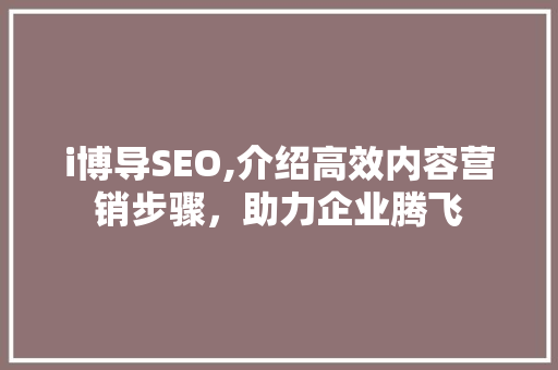 i博导SEO,介绍高效内容营销步骤，助力企业腾飞 GoogleSEO