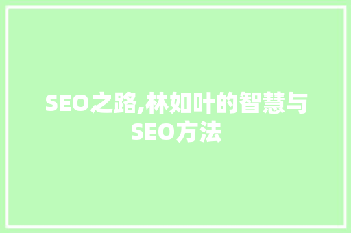 SEO之路,林如叶的智慧与SEO方法 必应SEO